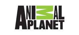 Animal Planet Reklam Seslendirme - Seslendirme Ajansı